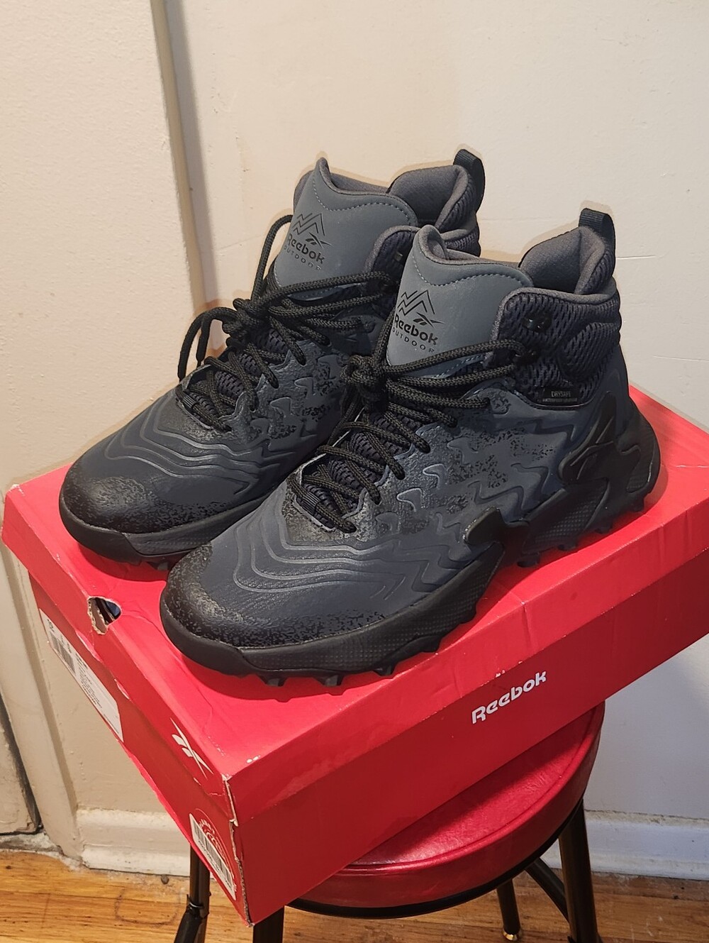 The Reebok Kitari DMX
